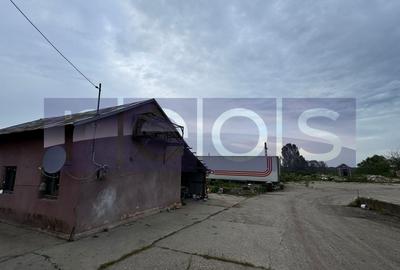 VANZARE TEREN 16.000 MP | 2 LOTURI | CONSTRUCTII EXISTENTE | ROSIORI DE VEDE - 5