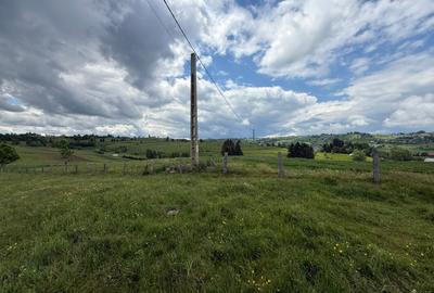 Teren | 13600 mp | Mărișel - 4