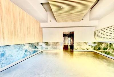 Dristor - New City, studio modern, mobilat si utilat modern, bloc nou - 6