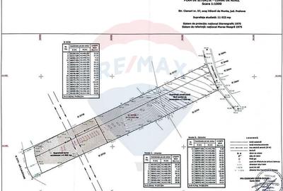 Teren intravilan 11.500 mp – Strada Cismari Vălenii de Munte - 8