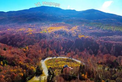 DE VANZARE Cabana-DN Baia Mare–Sighet cu 29AR - 4