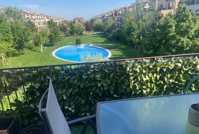 Pipera Sc Americana  Ibiza Sol - 3