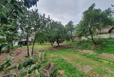 Teren rezidential Tohan, Zarnesti zona de case - 2