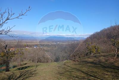 Teren intravilan generos 3.206 mp în Remecioara | Priveliște deosebită - 1