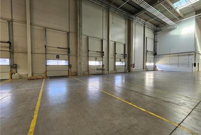 Spatiu Industrial - 5300 mp - Logistica - Productie - Depozitare - Distributie - 13