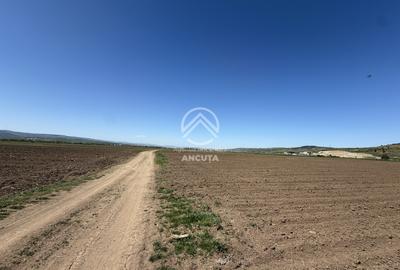 TEREN EXTRAVILAN DE VANZARE | 23 EURO/MP | 2900 MP | ZONA AEROPORT - 4
