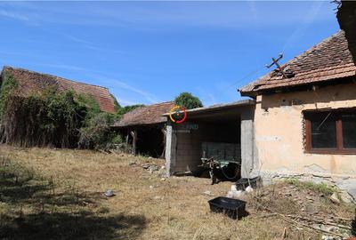 Casa traditionala Bruiu Somartin judet Sibiu - 9