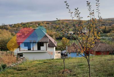 Casă, 1553 mp teren, zona linistita, sat Cara - 3
