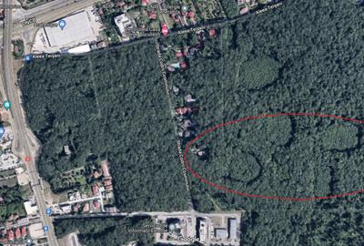 46644 mp teren in Padurea Baneasa proiect exclusivist - 4