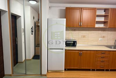 Apartament 2 camere de inchiriat-Zona Doamna Stanca - 19