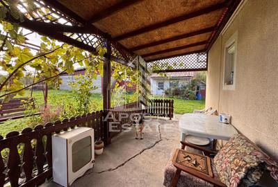 Casa individuala, 4 camere, 2600mp teren, Barcea Mare in Hunedoara - 17