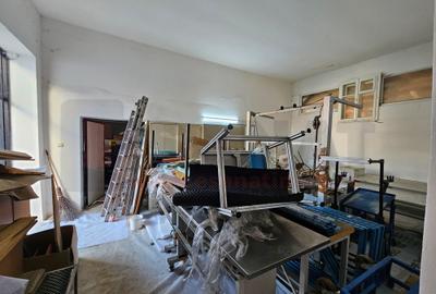 3 Corpuri noi casa, Hala Productie, Curte, Acces auto, Cristian |VIDEO - 44