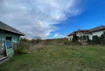 Teren intravilan 6975 mp front stradal 47.70 m in Mosoaia Arges si padure bonus - 4