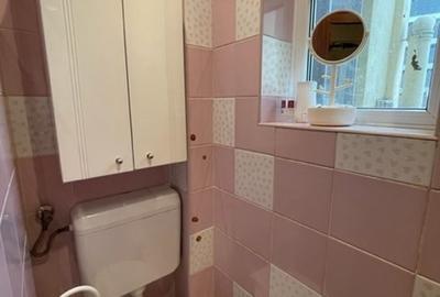 Apartament mobilat in vila, P+1 zona Delea Veche - 9