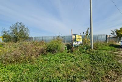 Lot de teren in com. Vanatori, sup.500 mp - 7