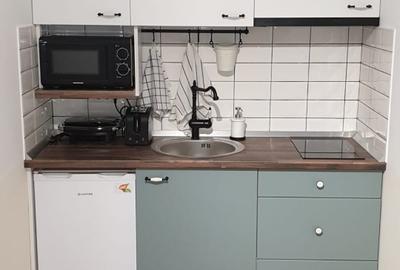 Inchiriez studio cu 1 dormitor ultracentral, elegant - 3
