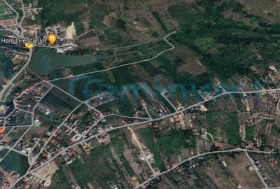 Teren Construcții intravilan de 8454 mp, în Săldăbagiu de Munte