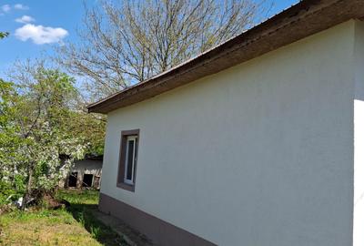 Vanzare casa 4 camere Tamadau Mare - Calarasi - 6