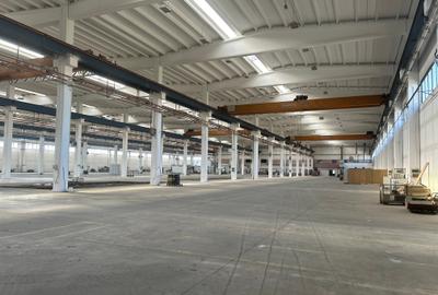 Spatiu depozitare & productie Brasov - Ghimbav - 7