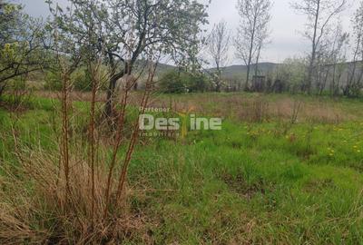 Teren intravilan in suprafata de 3160 mp, Puscasi, Poiana lui Alexa - 3