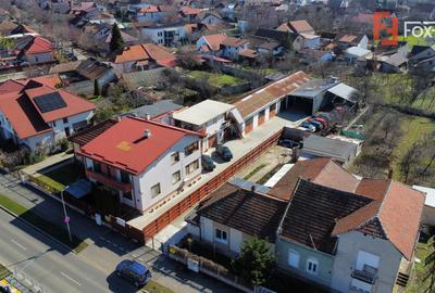Oportunitate afacere: Spatiu industrial + Casa de locuit - Bogdanestilor - 2