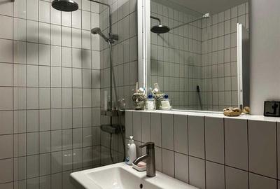 Banu Manta, 2 camere deosebit, etaj 4, 60 mp, prima închiriere, renovat integral - 8