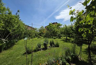 Refugiu Verde în Corbeanca – Vilă Premium cu Grădină Matură - 20