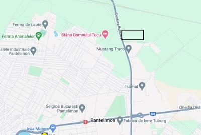 Teren Construcții extravilan de 71889 mp, în Pantelimon