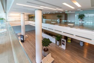 Birou, 669 mp în Nord