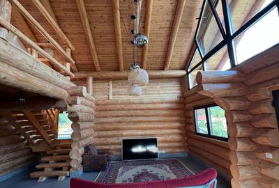 Evadare in mijlocul naturii in satul Lisnau - Ozun - 9