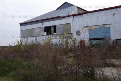 Hala   spatiu depozitare, zona Chiscani, suprafata 14450 mp - 8