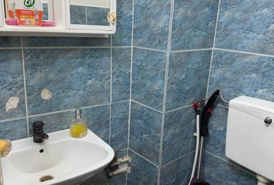 Apartament 3cam decomandat Aradului - 8