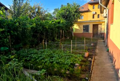 Otopeni  Casa P+M/ teren 878 mp gradina matura - 9