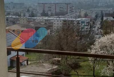 Duplex cu piscină și curte generoasă | Grigorescu – Str. Uliului | Garaj - 7