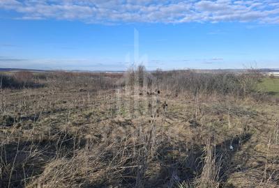 Teren Intravilan de Vânzare – 4300 mp – Cristian, zona Aeroport - 8