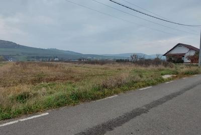Imobilstar vinde teren pentru case in Ernei - 1