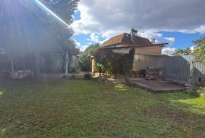 CASA cu anexa si spatiu comercial – de vanzare in BEIUS - 34