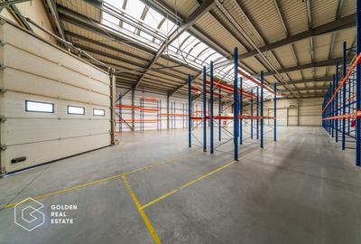 Hala industriala 727 mp, Aradul Nou - 30