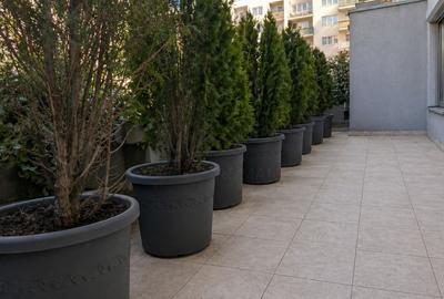 REA1028669 Apartament 3 camere de vanzare l Terasa 27 mp l Belvedere Residences - 5