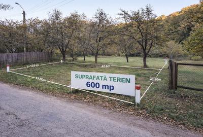 Teren Construcții intravilan de 600 mp, în Lăbușești