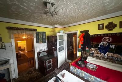 Viseul de Sus- CASA , priveliste, liniste , - 10