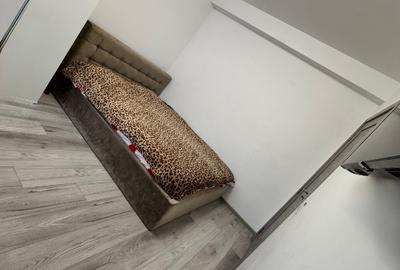 Casă individuală cu 3 camere în Vidra