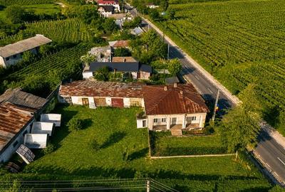 FILM! Domeniu de 4.000 mp intravilan+ casa autentica, in podgoriile Odobesti,Vra - 12