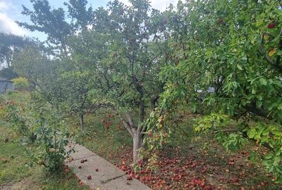 Teren la drumul European Botosani – Suceava - 2