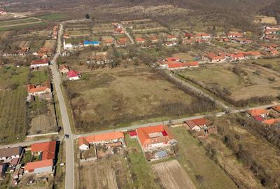Conac nobiliar de secol XIX cu 8 camere în Maciova - 8