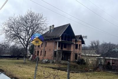 Vila la rosu - Viisoara - 1