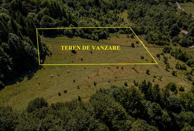 Teren superb in Rasnov Glajerie retras si intim - 6