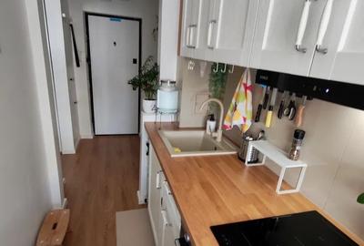 2 camere Drumul Taberei metrou Valea Ialomiței zona Frigocom - 10