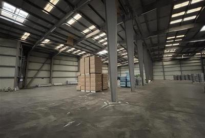 Inchiriere depozit/hala/spatiu industrial Chiajna - Ciorogarla A1 - KM13, ILFOV - 7