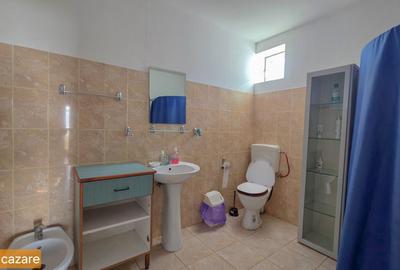 De vanzare spatiu industrial in Turnu Magurele - Teleorman - 19